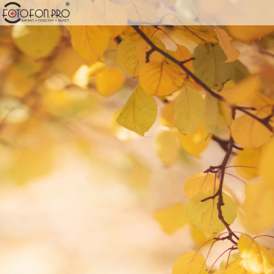 Фотофон 3D пазловый «Жёлтые листья»