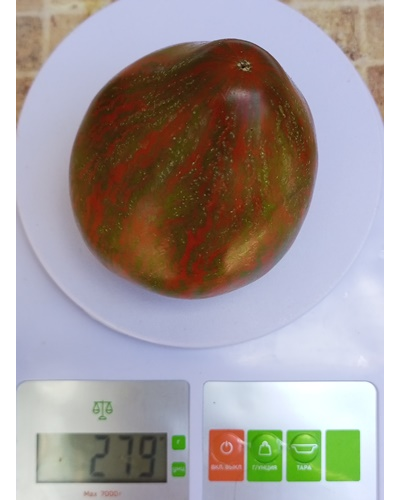 Томат Сердце Марши (Marsha's Starfighter Heart)