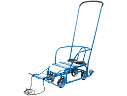 Продажа детских зимних саней Team 3.0 (Blue) в Иркутске по низким ценам