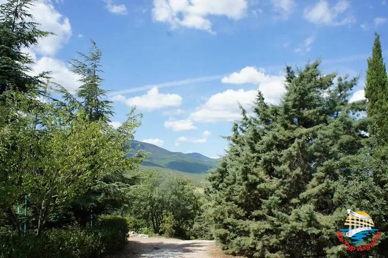 Дендропарк в Алуште