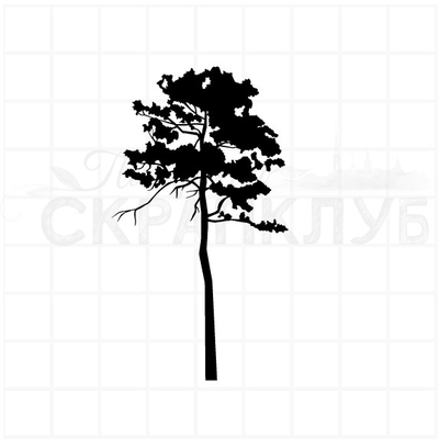 ФП штамп "Маленькая сосна"