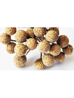 Рябина на ветке в сахаре, цвет золото (упаковка 20 штук)