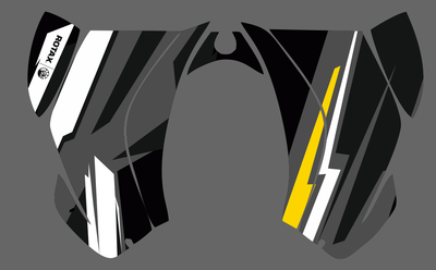 Can-am BPR DS 450 #1409