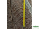 Мешковина Джут 100 метров, ширина 200 см, плотность 90 гр/м2
