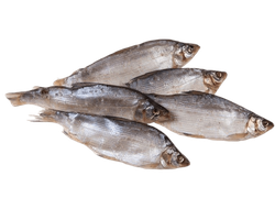 Пелядь вяленая КРУПНАЯ