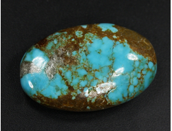 Бирюза, полировка плоская, США, Невада (32*20*10 мм, 8,3 г) №37841