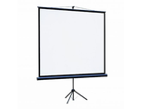Экран на штативе Lumien Eco View 203x203см (раб.область 195х195 см) Matte White 1:1