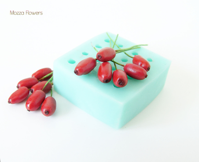 "Барбарис" силиконовый молд