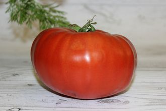 Красный садовый (Болгария)