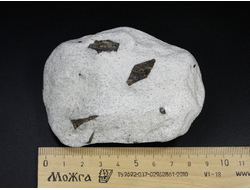 Ставролит, сросток кристаллов "косой крест" на сланце, Россия, Кольский п-ов (90*64*31 мм, 256 г) №23687