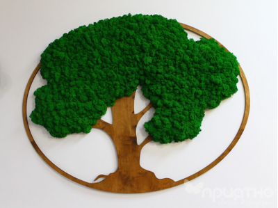 ЖИВАЯ ЭКО-КАРТИНА 1014 (100х75см)