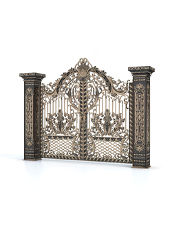 элементы Ворота кованые cong