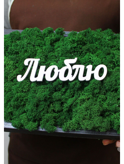 ЖИВАЯ ЭКО-КАРТИНА 1056