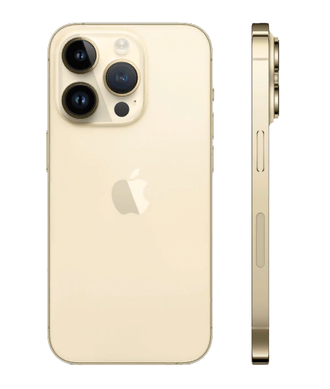 Apple iPhone 14 Pro 256Gb (Золотой)
