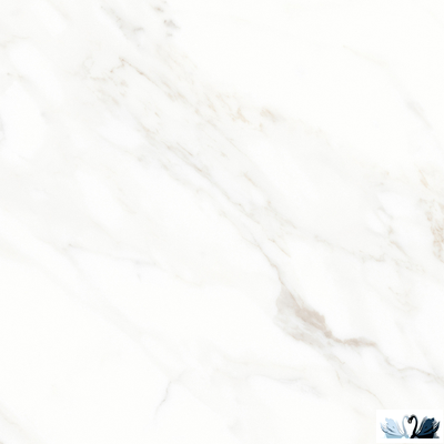 хКерамогранит Ocean Ceramic Calacatta michael 60 x 60 см лаппатированный