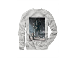 Свитшот Fallout, Фоллаут №36