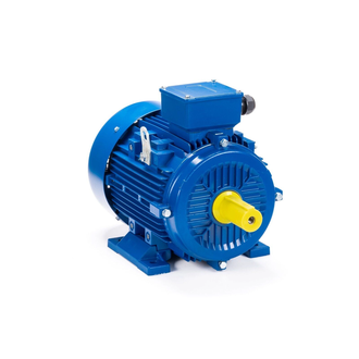 Электродвигатель АИС 160L2 (18,5 кВт) IM B3