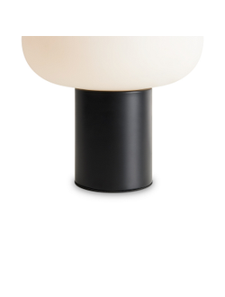 Freya, Настольный светильник Take, FR6175TL-L10B