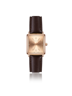 часы Isabella Ford FF1-S038R