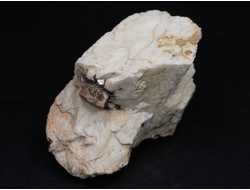 Циркон (кристаллы в породе), Россия, Южный Урал (35*29*25 мм, 31 г) №26069