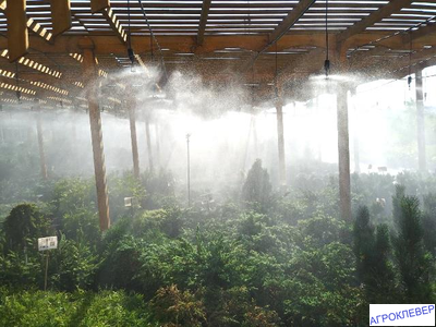 Подвес для микродождевателя / фоггера (6мм Н), с клапаном "антикапля", 30 см