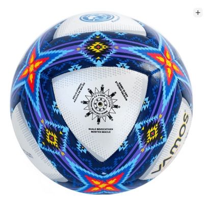 Vamos Campo Pro BV1085-CPB (№5 Футбольный мяч)