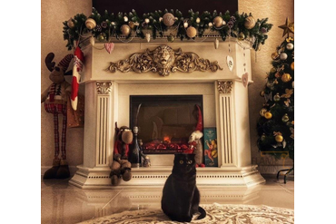 Электрический камин Бастион