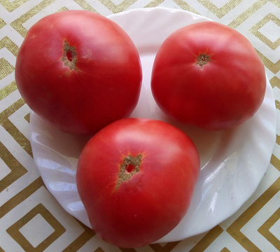 Томат Мамонт (Mammoth)