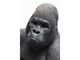Kare design, дизайн, горилла, обезьяна, примат, животное, полистоун, статуя, фигурка, gorilla, бюст