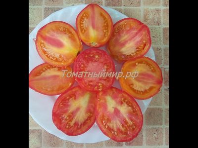 Томат Козула 141 (Kozula 141)