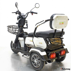 Трицикл GreenCamel Фродо X7 (60V 500W R8) дифференциал синий