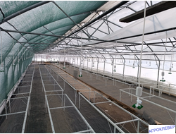 Система тумана низкого давления (480м2) 9,6 х 50м расход 5,2м3/ч (без ёмкости)