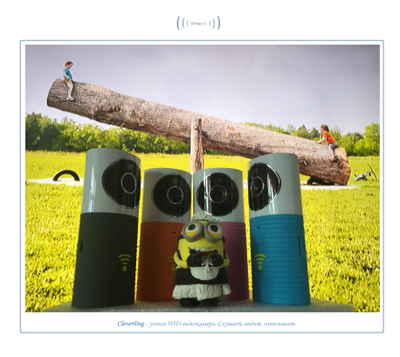 Видеоняня /WiFi видеокамера CleverDog с DVR