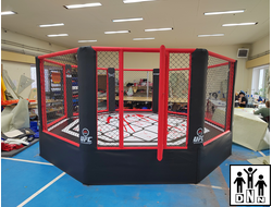 октагон на помосте 1 м диаметр 8 м