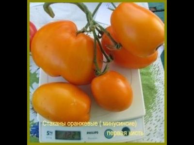 Томат Стаканы оранжевые минусинские