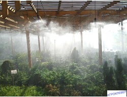 Подвес для микродождевателя / фоггера (6мм Н), с клапаном "антикапля", 30 см