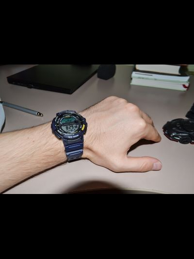 Часы Casio WS-1200H-2A