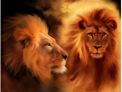 Купить греющую картину с фото львы