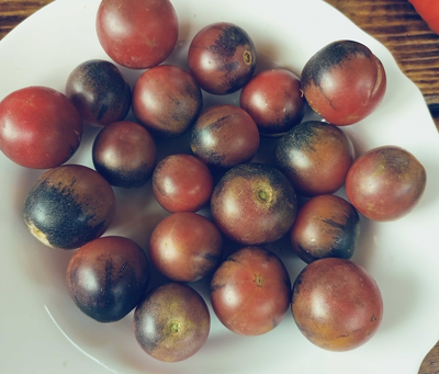 Томат Шоколадный подарок