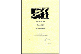 Сертификат 1