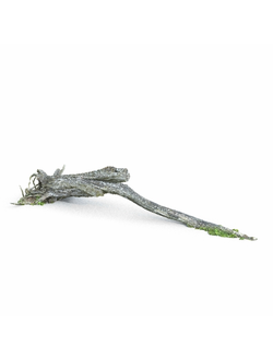 пни Бревно 010