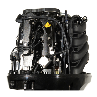 Мотор лодочный GOLFSTREAM F115FEL-T EFI