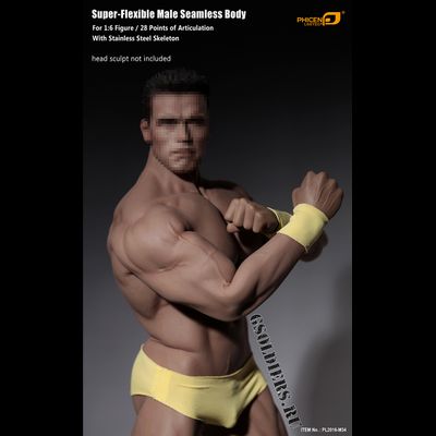 Супер-подвижное бесшовное мужское тело (телоид) PL2016-M34 1/6 Super flexible Male Seamless Body - PHICEN