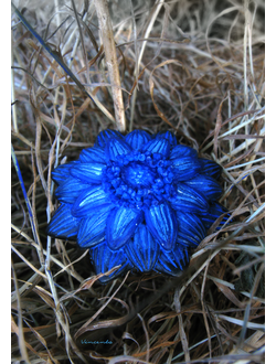 "Цветок, отражающий небо" - волшебное кольцо