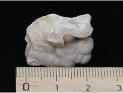 Халцедон виноградный, Россия, Северный Кавказ, КЧР, Усть-Джегутинский район (22*16*18 мм, 8 г) №27195