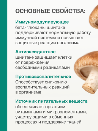 Экстракт шиитаке для внутреннего применения 100 гр.