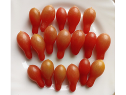 Томат Слезы эльфа (Elf Tears)