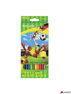 Карандаши цветные BRAUBERG «Football match», 12 цветов, заточенные, картонная упаковка. 180534
