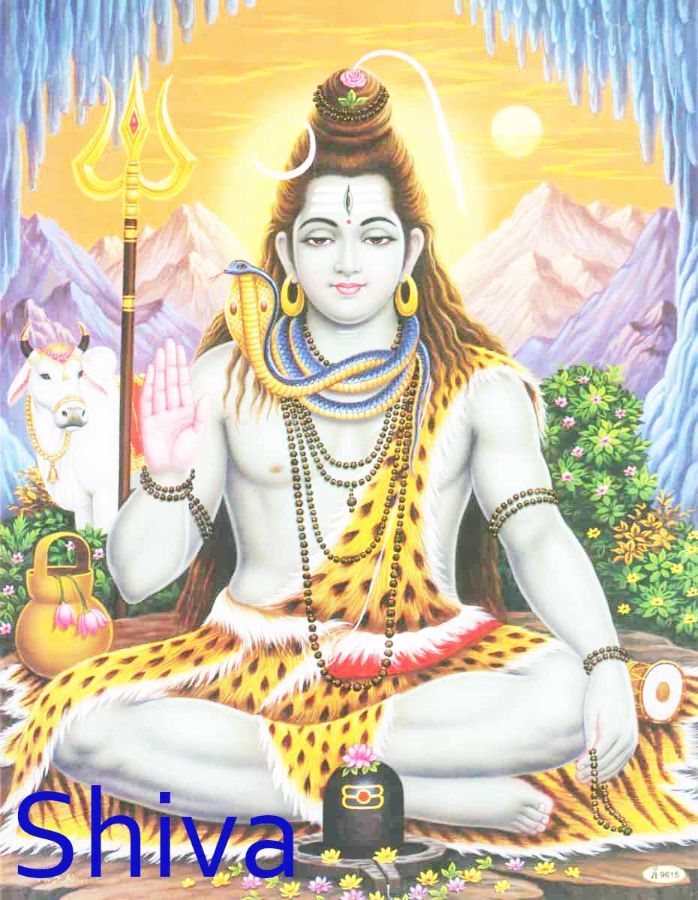 Shiva Shiva