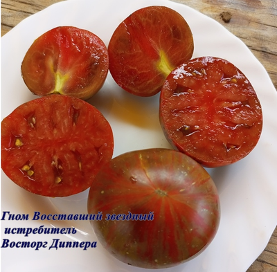 Томат Гном Восторг Диппера (Dwarf Rebel Starfighter Dipper’s Delight)